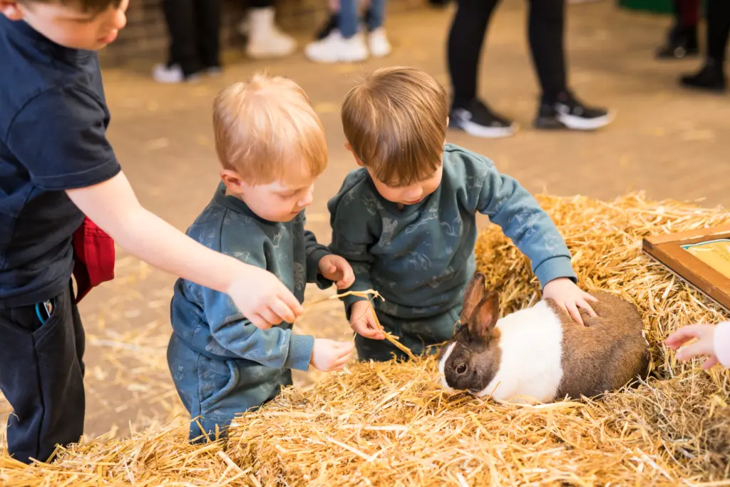The Rare Breeds Centre