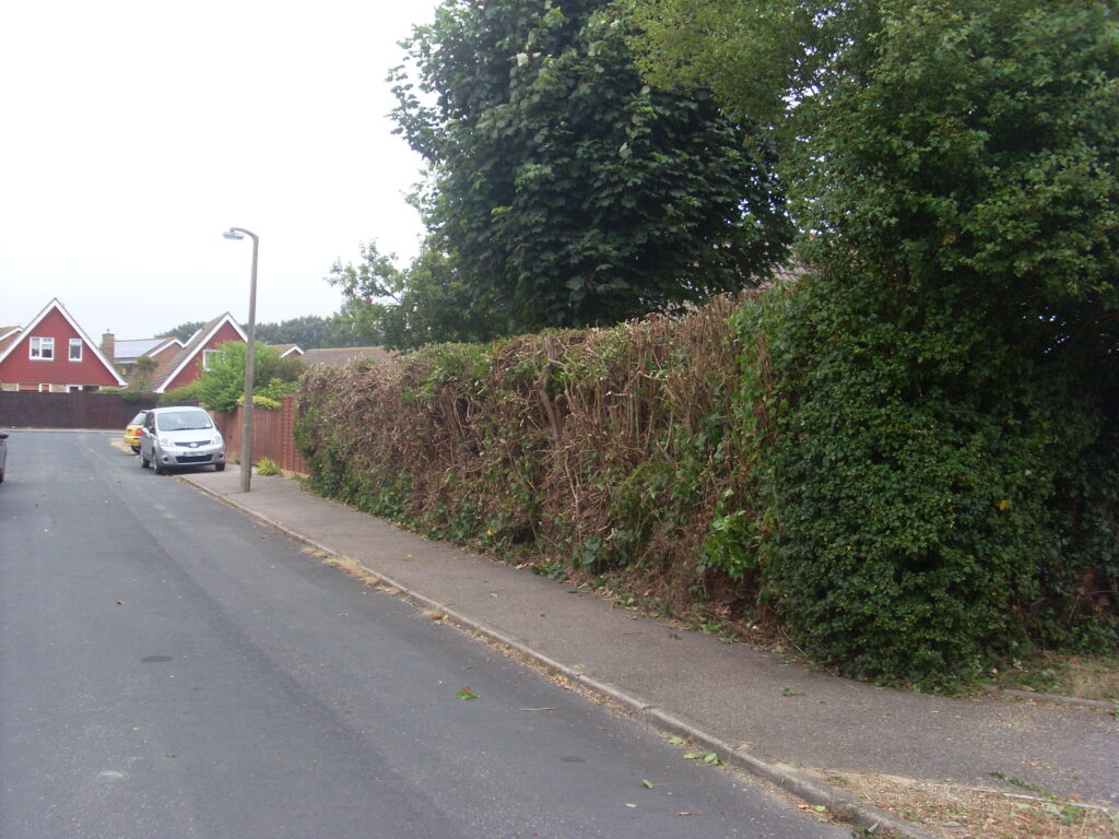 Greentrees Garden Services