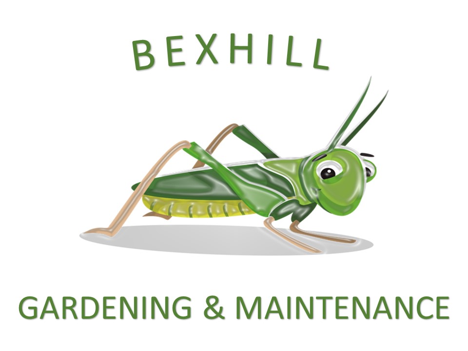 Bexhill Gardening and Grounds Maintenance