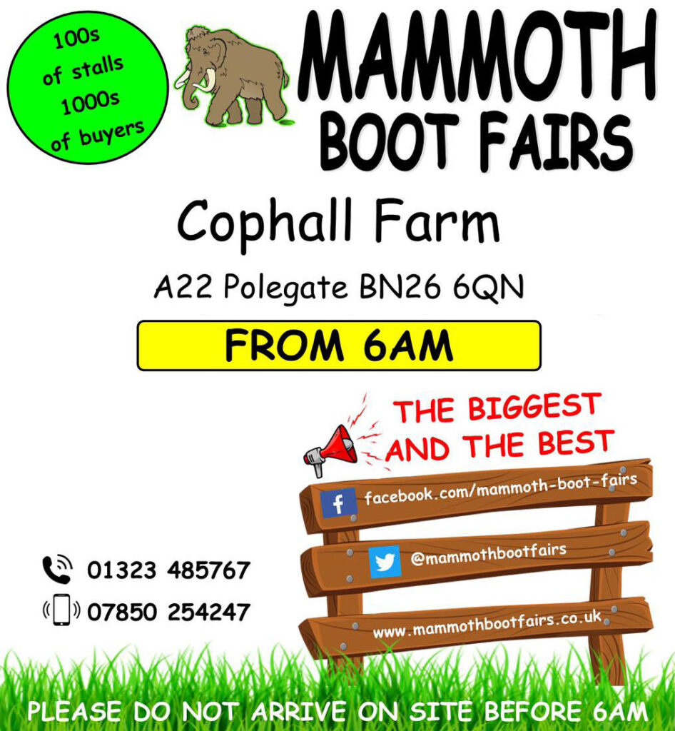Mammoth Boot Fair
