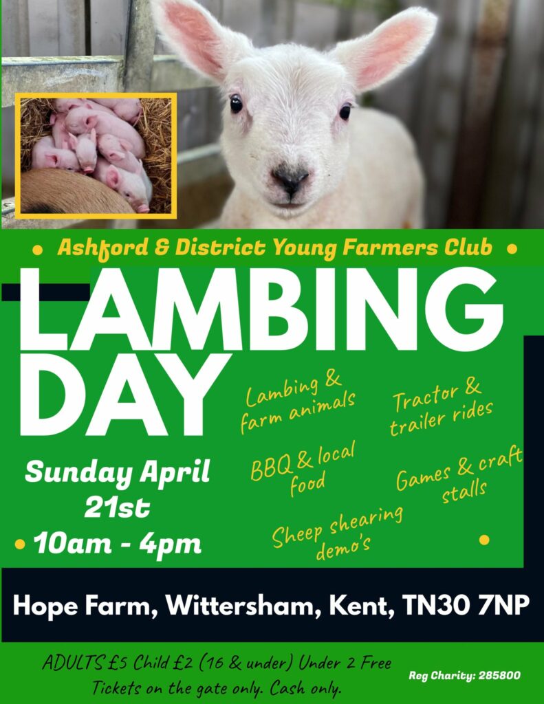 Ashford & District YFC Lambing Day