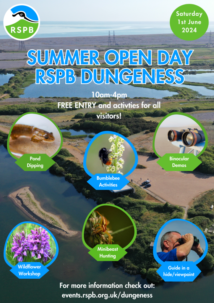 Summer Open Day at RSPB Dungeness 2024