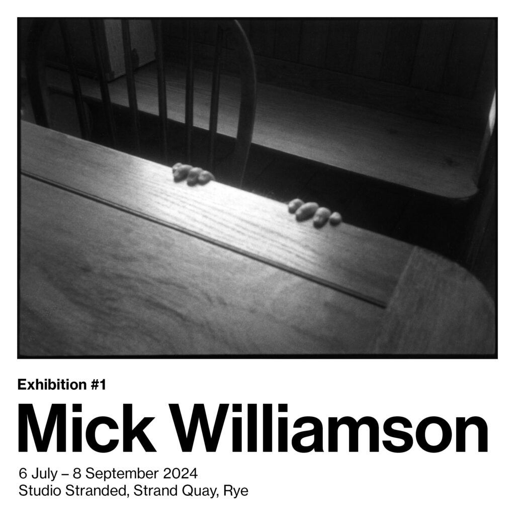 The work of Mick Williamson