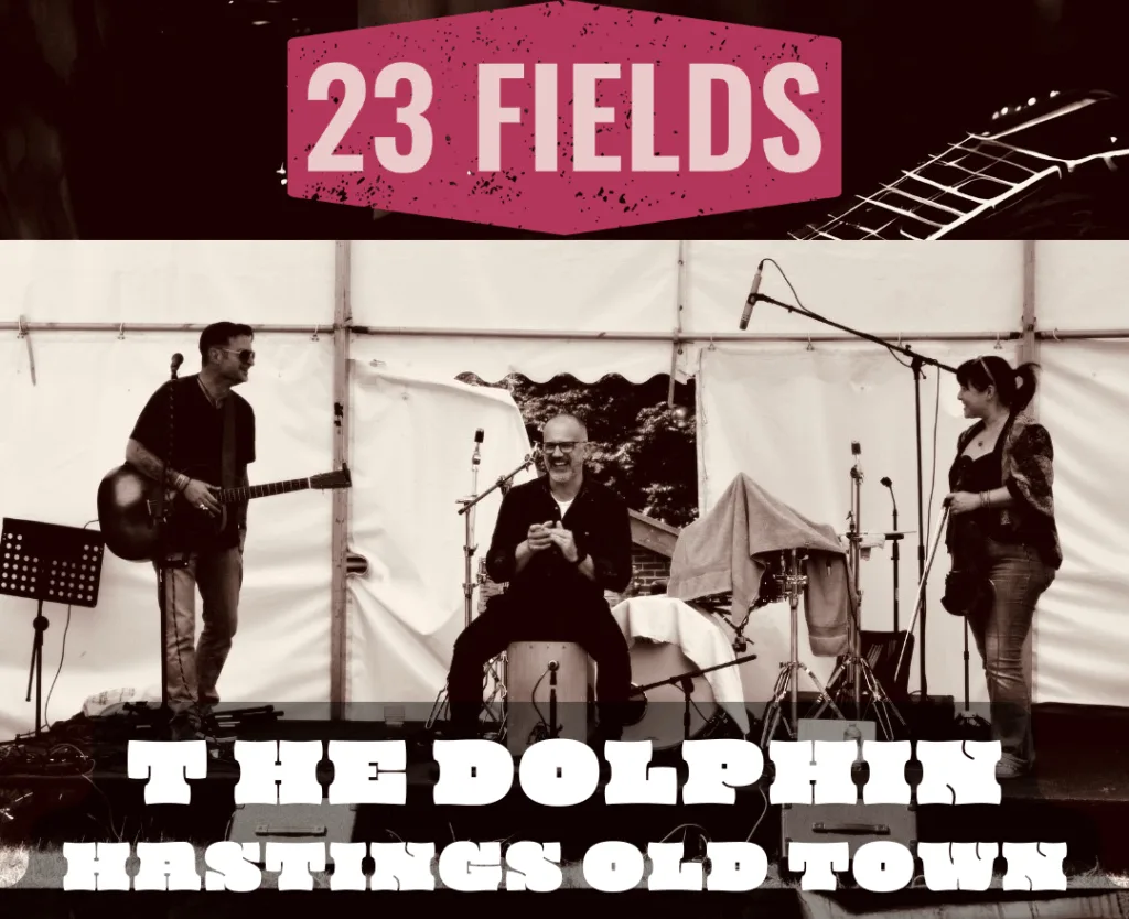 23 Fields