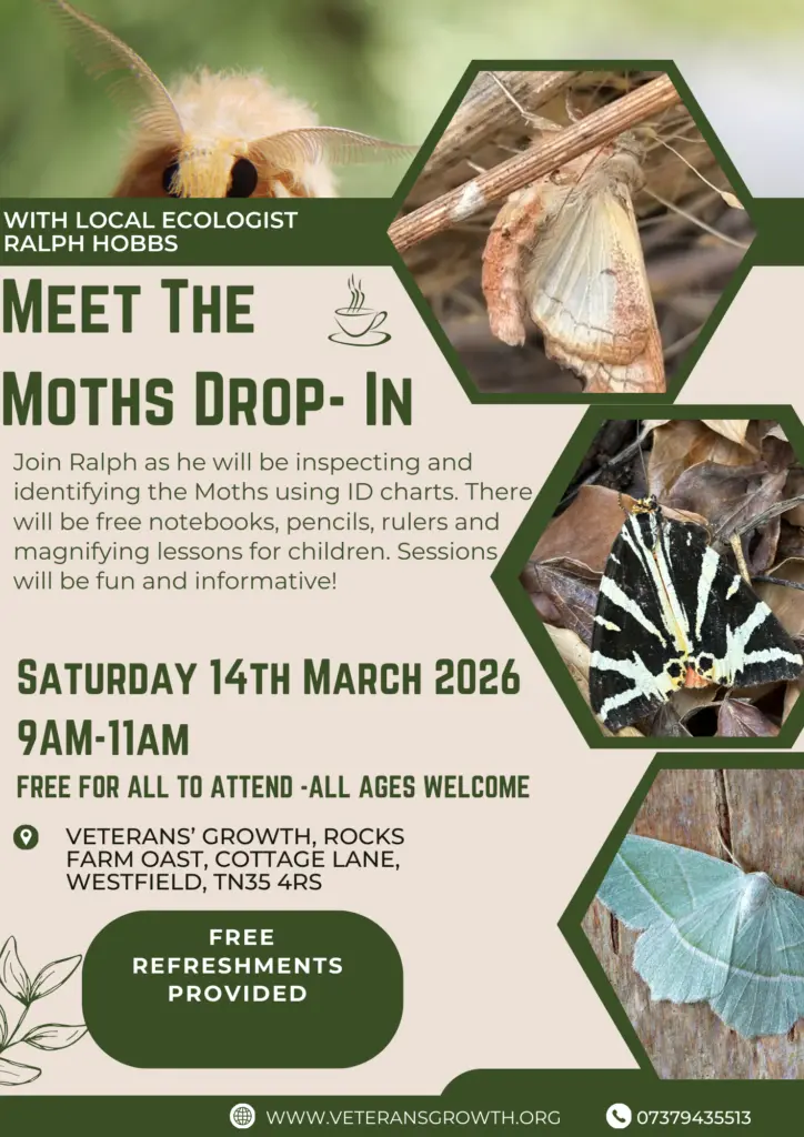 Meet The Moths