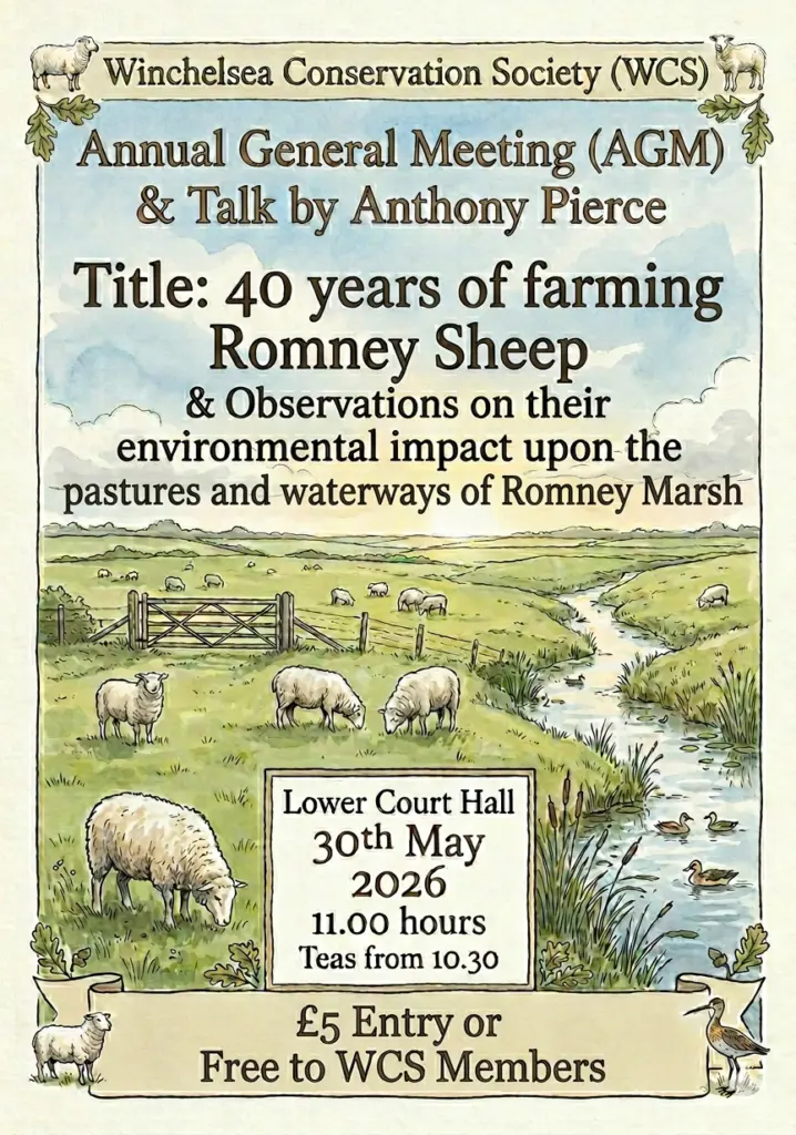 Observations 40 Years of Farming with Romney Sheep