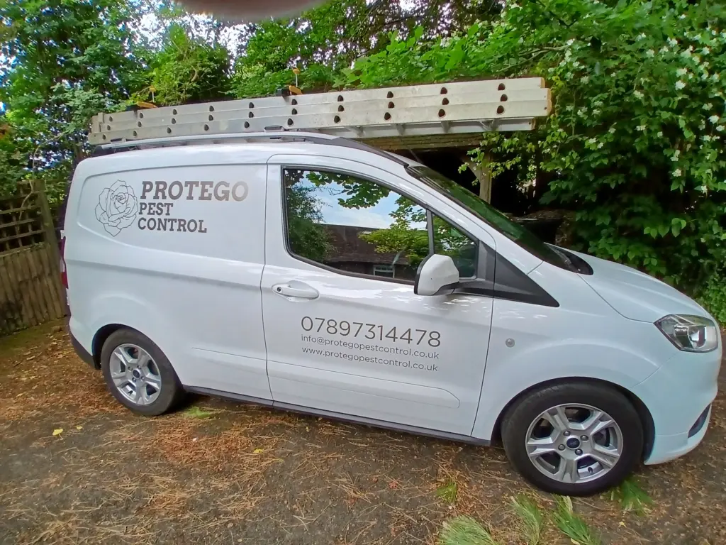 Protego Pest Control
