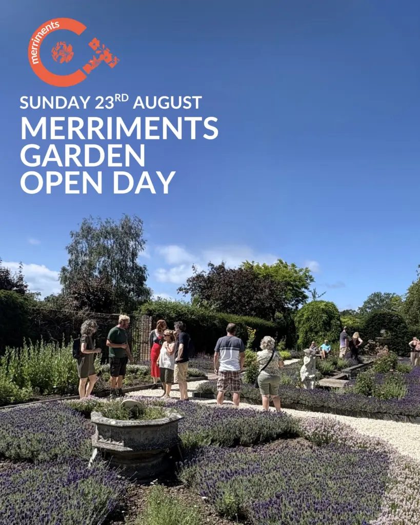 Merriments Gardens August Open Day