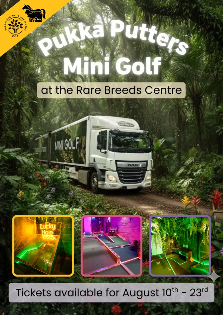 Pukka Putters Mini Golf