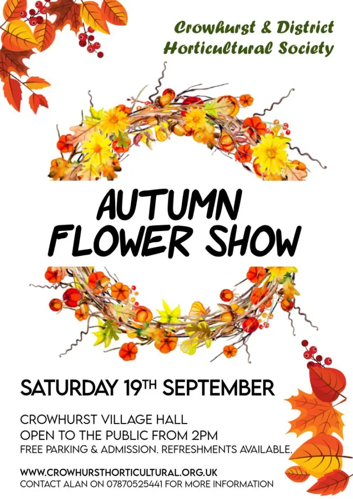 Crowhurst Pretty Autumn Flower and Honey show