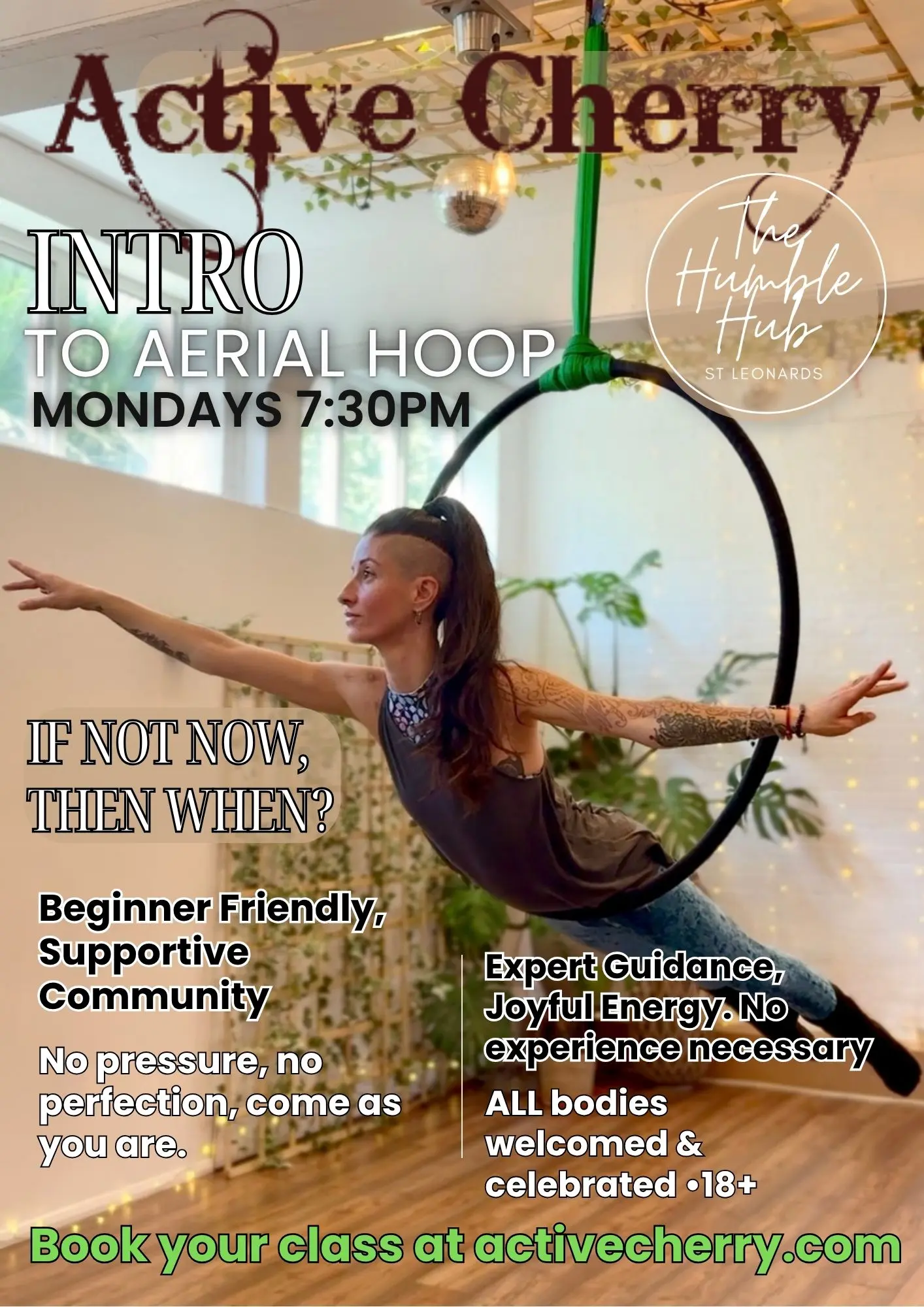 Intro to Aerial Hoop